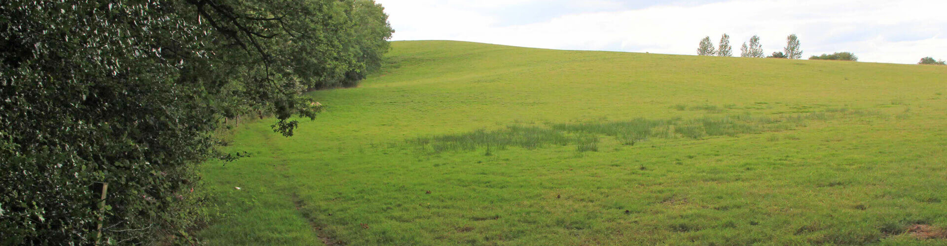 Green Spaces Nell Ball Hill