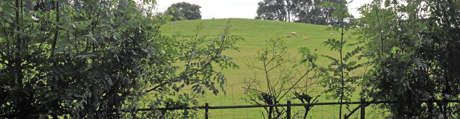 Green Spaces Nell Ball Hill