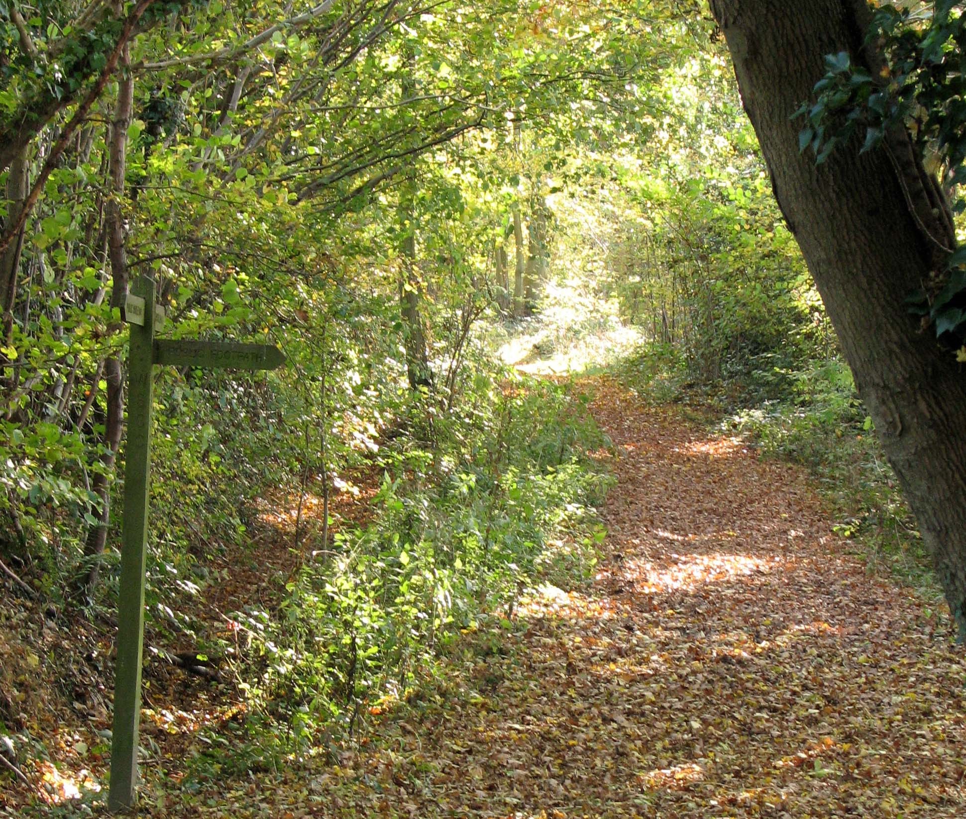 Public Rights Of Way - Plaistow and Ifold Parish Council